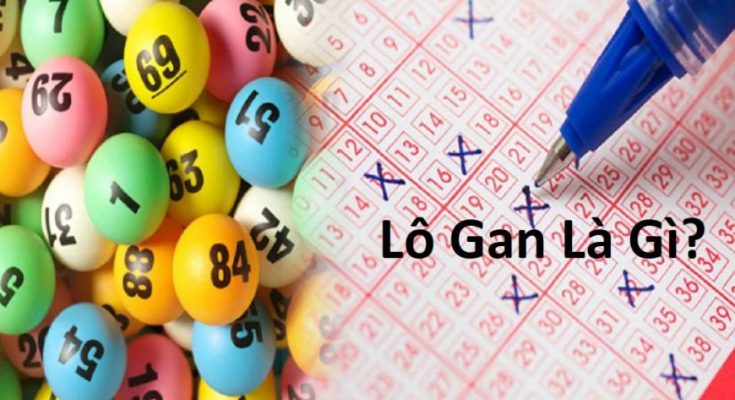 Cách nhận biết lô gan và nắm bắt chu kỳ lô gan